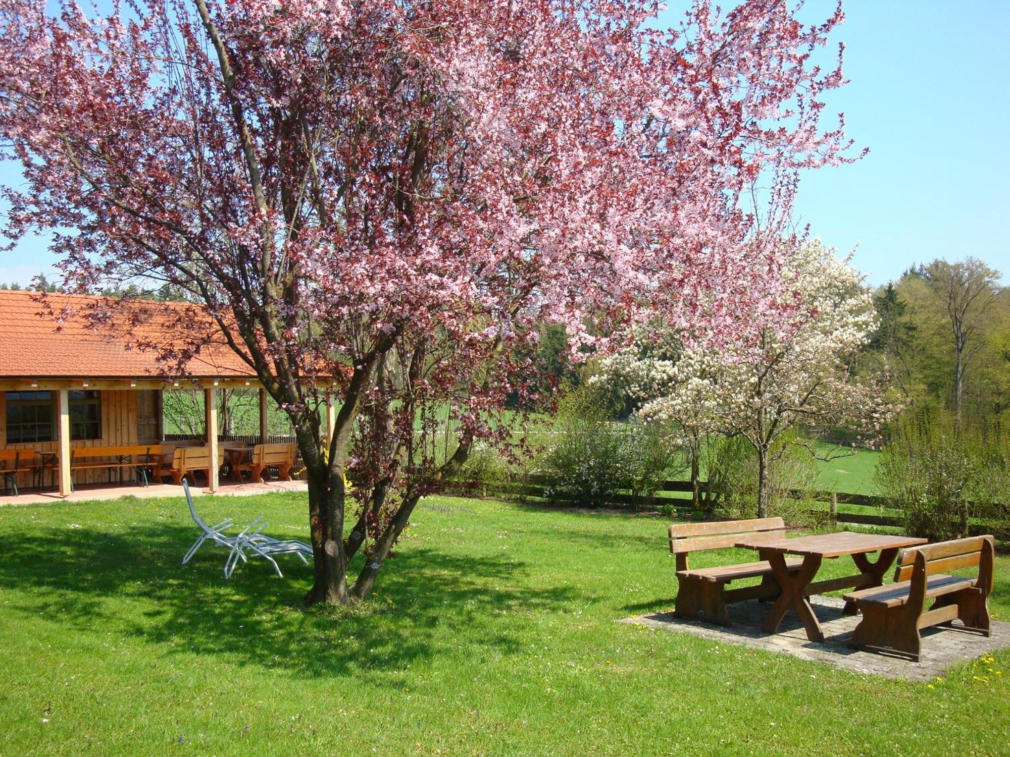 Appartement Giglerhof à Bad Birnbach Extérieur photo